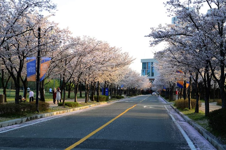 GIST | Gwangju Institute of Science and Technology representative photo