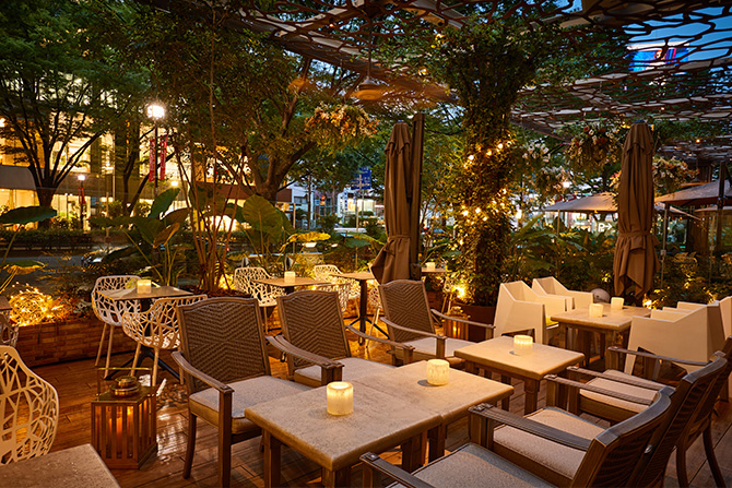 Cafe & Dining Zelkova representative photo