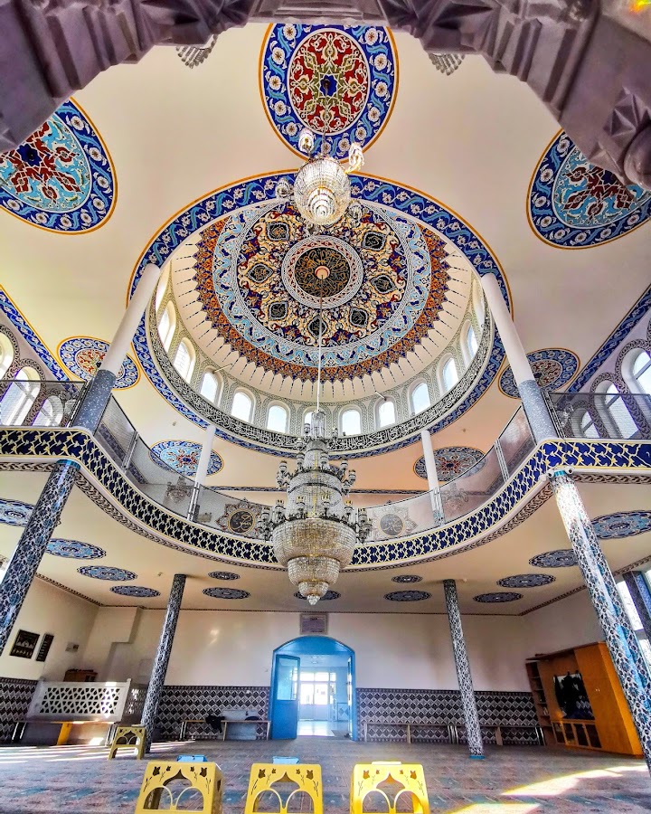 ATIB Emir Sultan Moschee Darmstadt representative photo