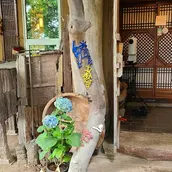 Dasoni-এর প্রধান ছবি