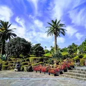 Ilchul Land Musala-এর প্রধান ছবি