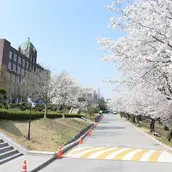 Soonchunhyang Universityのメイン写真